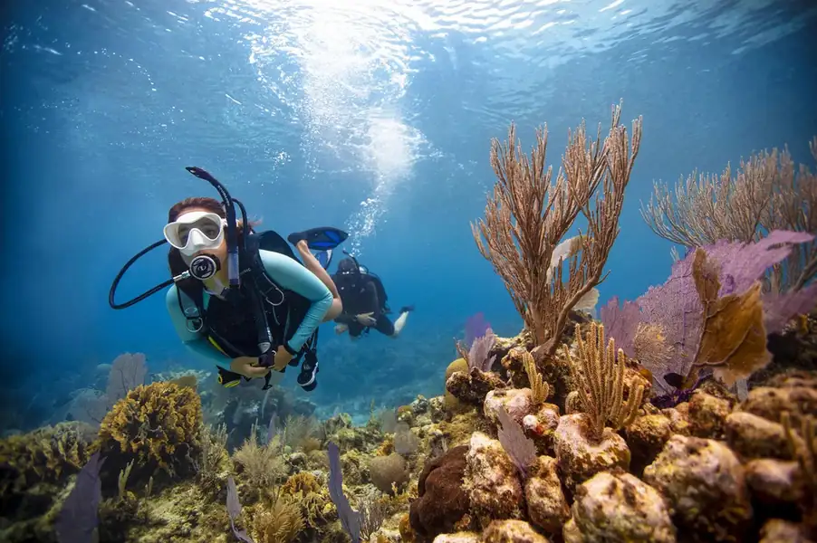 Recreational diving session organized by the resort Sand Bay Resort